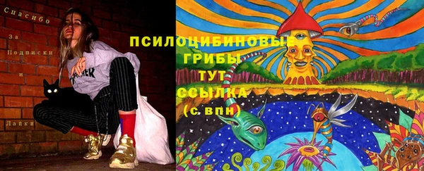 круглые Верея