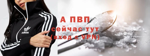сатива Верхний Тагил