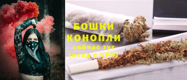 сатива Верхний Тагил