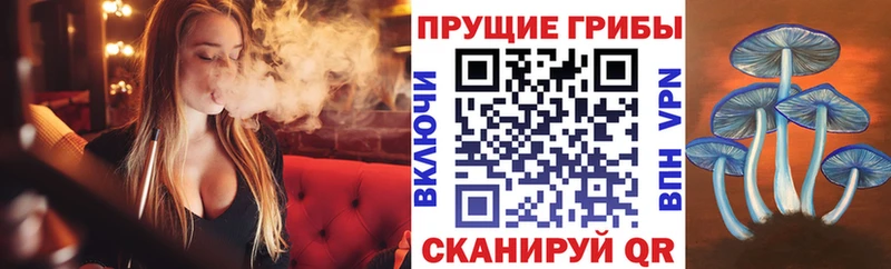 Псилоцибиновые грибы Psilocybe ОМГ ОМГ рабочий сайт Сосногорск